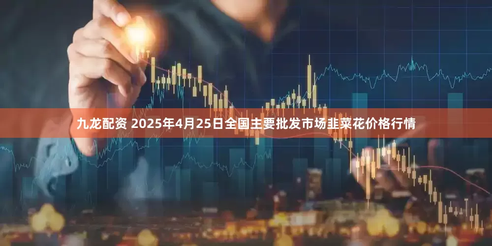 九龙配资 2025年4月25日全国主要批发市场韭菜花价格行情