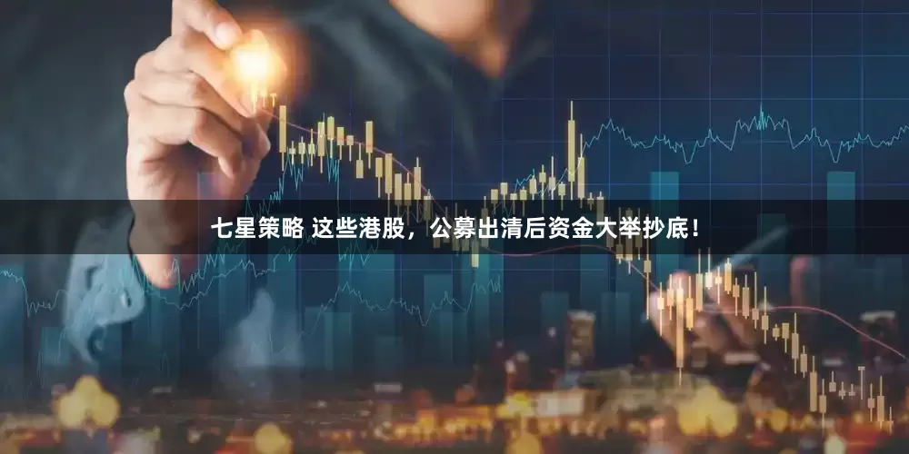 七星策略 这些港股，公募出清后资金大举抄底！